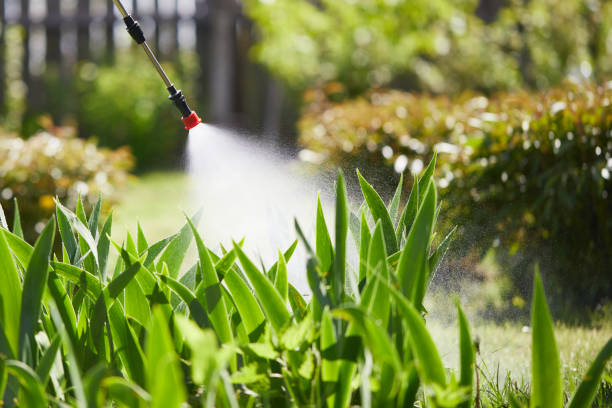 24/7 Emergency Mosquito Control experts in Warroad, MN