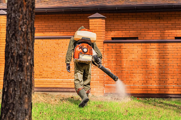 Top rated local Mosquito Control specialists in Warroad, MN